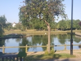Southchurch-park-pond-Copy-Copy
